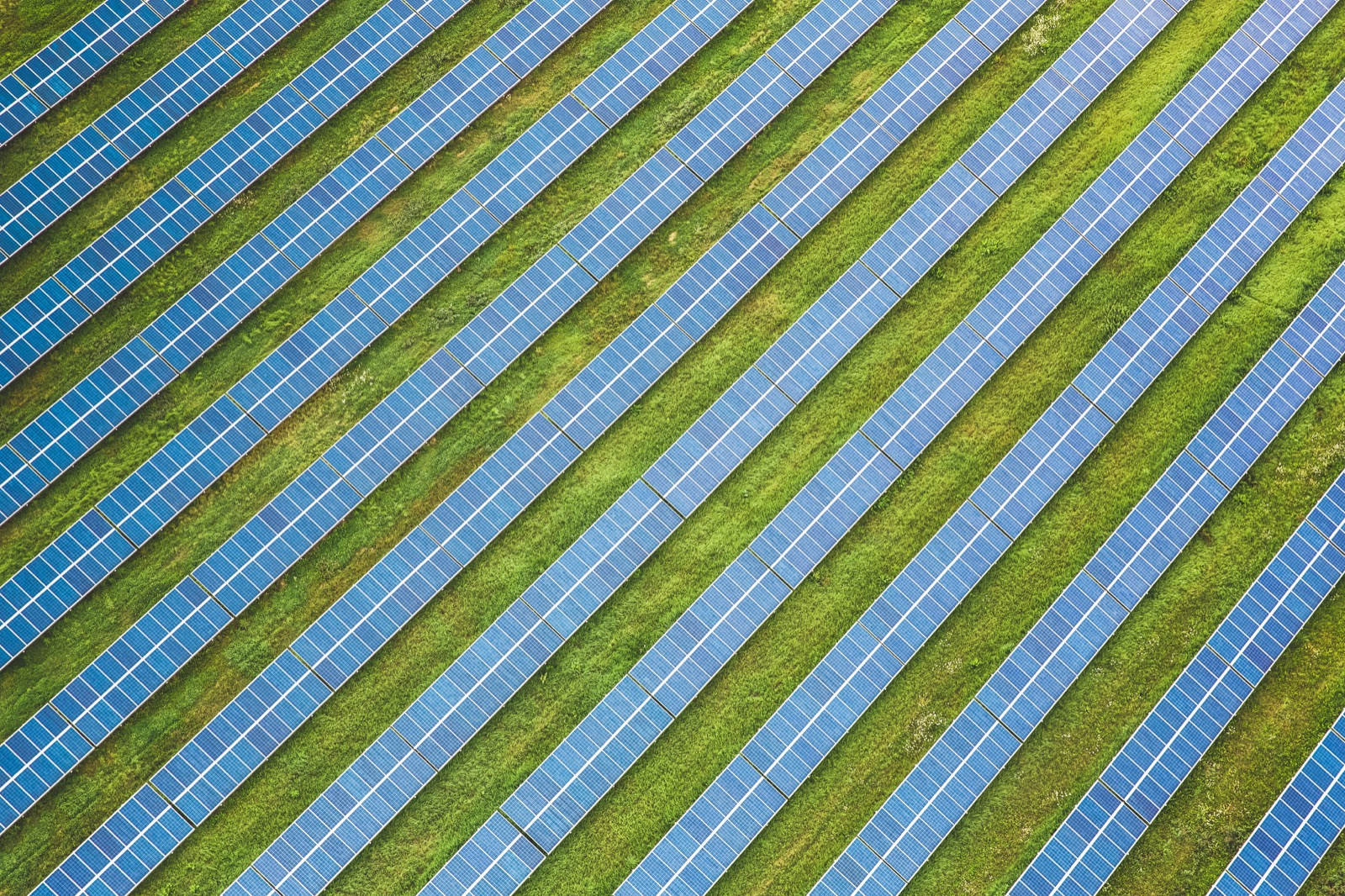 Free-field solar plant rows from above